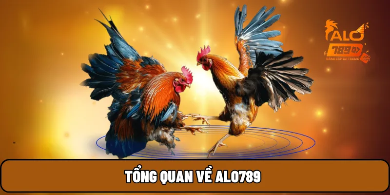 Tổng quan về ALO789